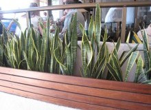 Kwikfynd Indoor Planting
moorara